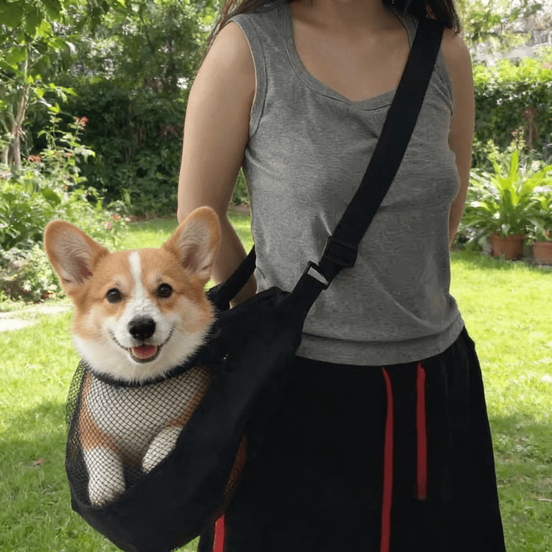 Travel Accessories Dog - حقيبة حمل كلاب خفيفة الوزن وقابلة